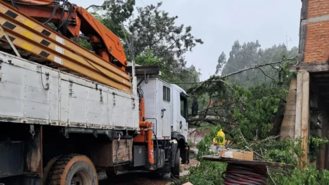 Fotografia em enquadramento médio e ângulo oblíquo de uma equipe de manutenção trabalhando após queda de árvore em área residencial. À esquerda, em primeiro plano, destaca-se a…