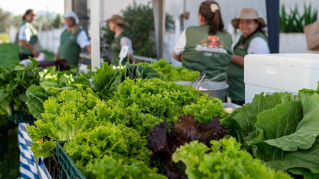 Prefeitura abre cadastro para entidades que atuam na segurança alimentar em Ponta Grossa