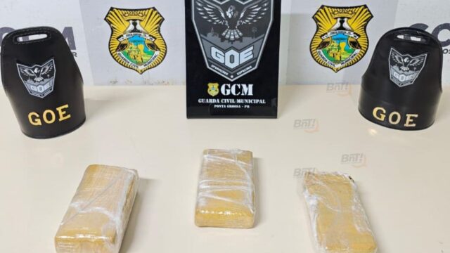 Registro divulgado por Guarda Municipal sobre Guarda Civil apreende cerca de um.