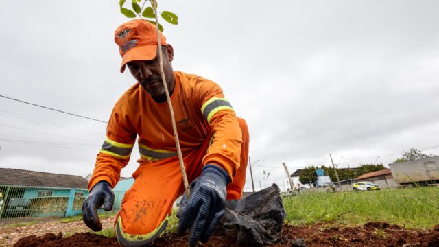 Trabalhador com uniforme laranja e luvas a joelhos na terra plantando uma muda de árvore em bairro