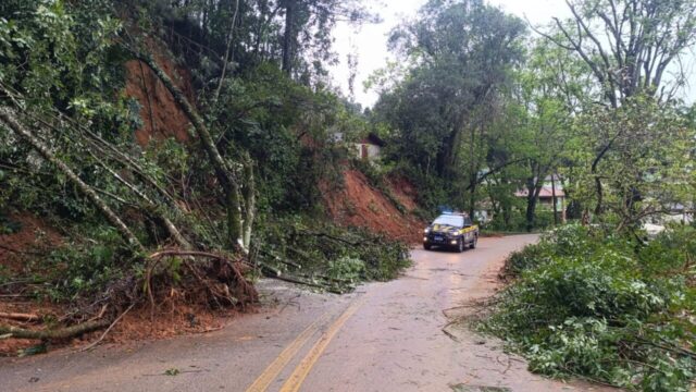 Rodovia parcialmente bloqueada por deslizamento de terra e galhos de árvores após chuvas no Paraná