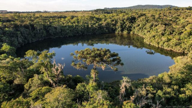 Vista aérea de lagoa cercada por densa vegetação nativa e árvores na paisagem natural