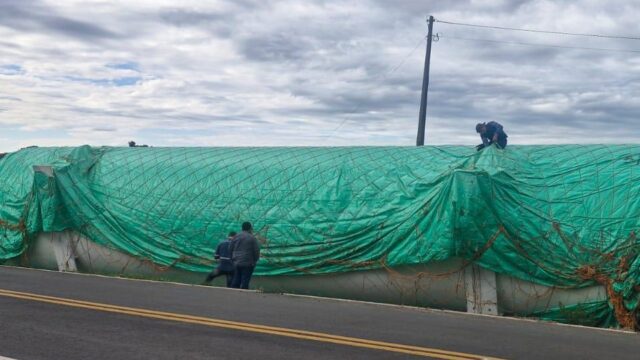 Trabalhadores verificam carga de grandes dimensões tombada às margens da rodovia coberta por lona verde